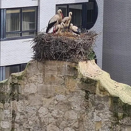 Tranquilidad Junto Al Centro Historico Apartment
